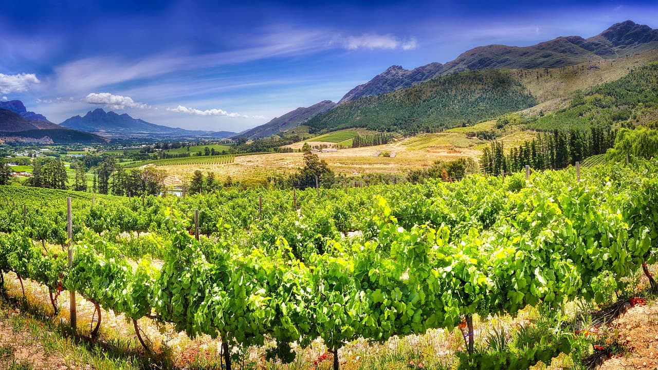 Piękny krajobraz Stellenbosch