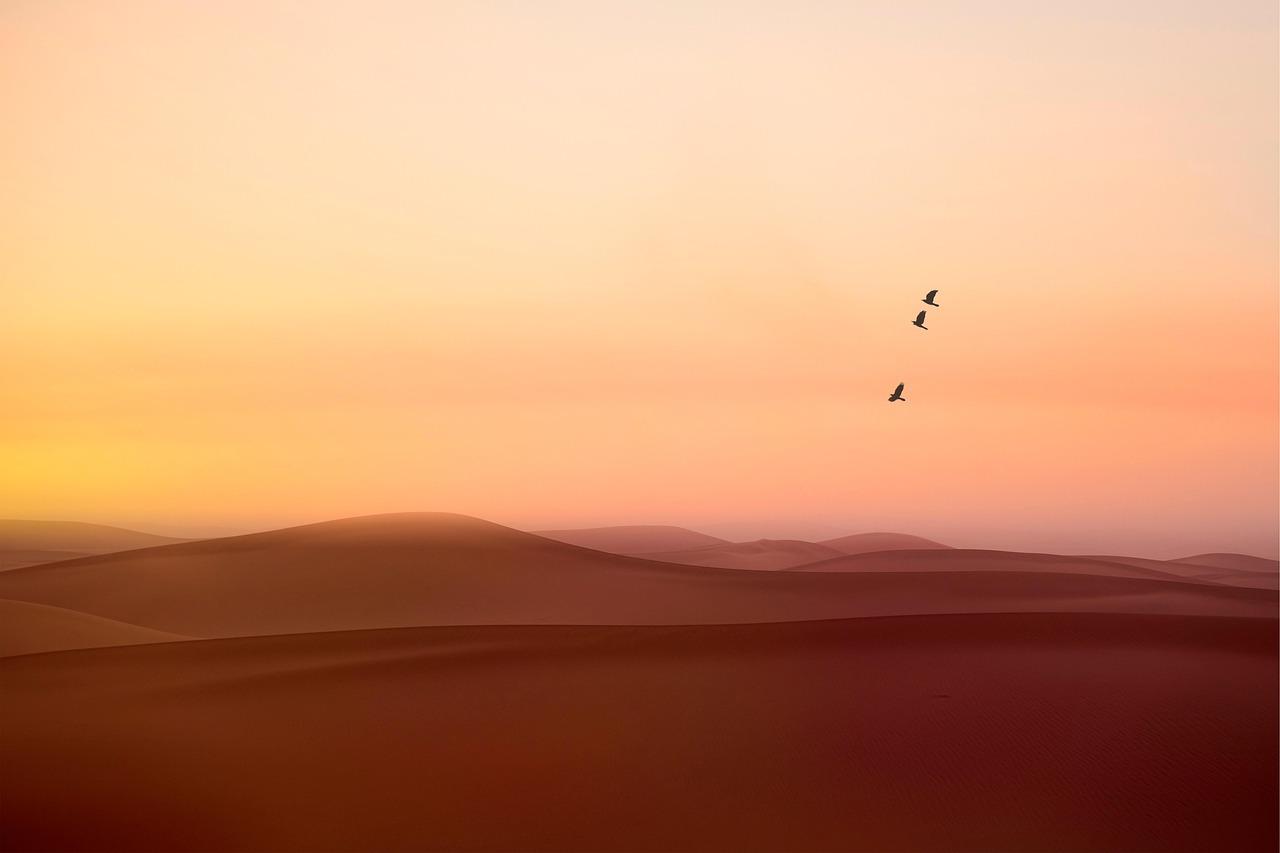 San Pedro de Atacama — baner