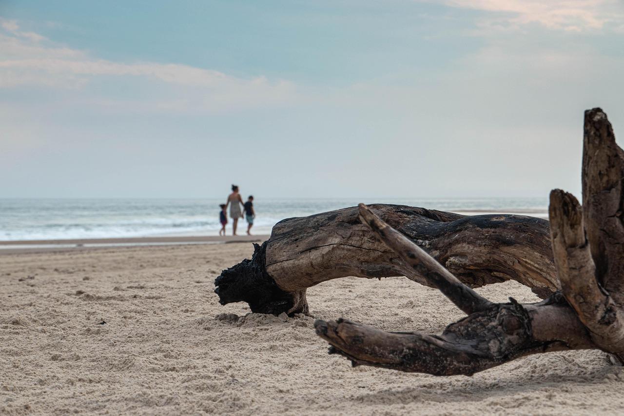 Champagne Beach — baner